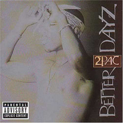 Better Dayz